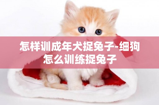 怎樣訓成年犬捉兔子-細狗怎么訓練捉兔子