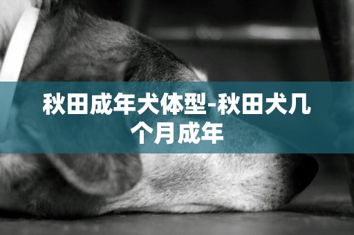 秋田成年犬體型-秋田犬幾個月成年
