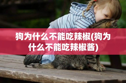 狗為什么不能吃辣椒(狗為什么不能吃辣椒醬)