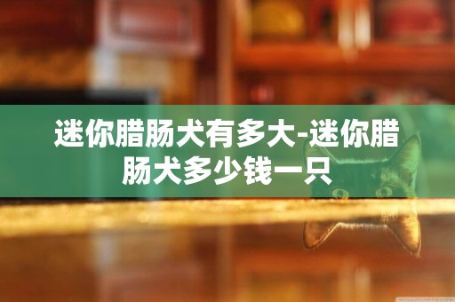 迷你臘腸犬有多大-迷你臘腸犬多少錢一只