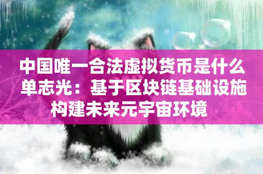 中國唯一合法虛擬貨幣是什么 單志光：基于區塊鏈基礎設施構建未來元宇宙環境 