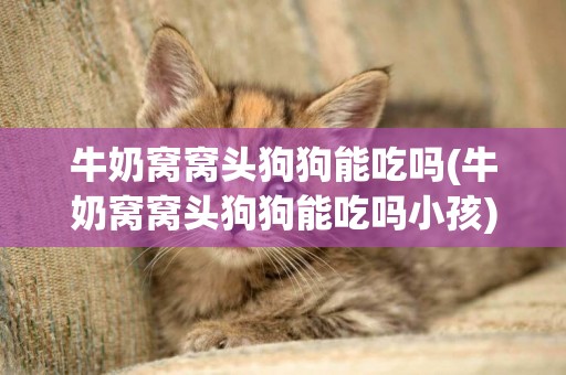 牛奶窩窩頭狗狗能吃嗎(牛奶窩窩頭狗狗能吃嗎小孩)