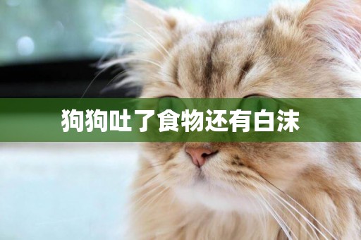 狗狗吐了食物還有白沫