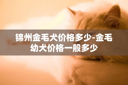 錦州金毛犬價格多少-金毛幼犬價格一般多少