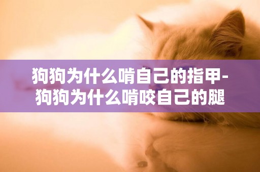 狗狗為什么啃自己的指甲-狗狗為什么啃咬自己的腿
