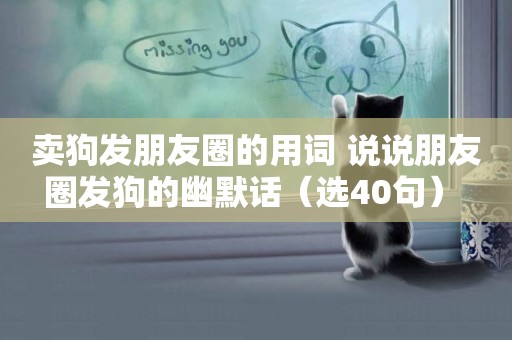賣狗發朋友圈的用詞 說說朋友圈發狗的幽默話（選40句） 
