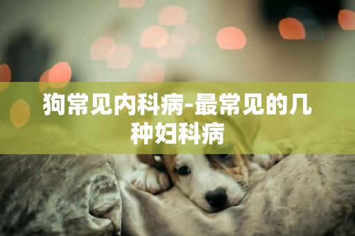 狗常見內科病-最常見的幾種婦科病