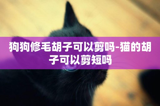 狗狗修毛胡子可以剪嗎-貓的胡子可以剪短嗎