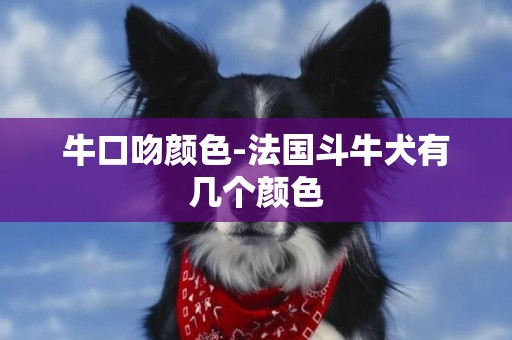 牛口吻顏色-法國斗牛犬有幾個顏色