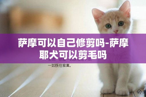 薩摩可以自己修剪嗎-薩摩耶犬可以剪毛嗎