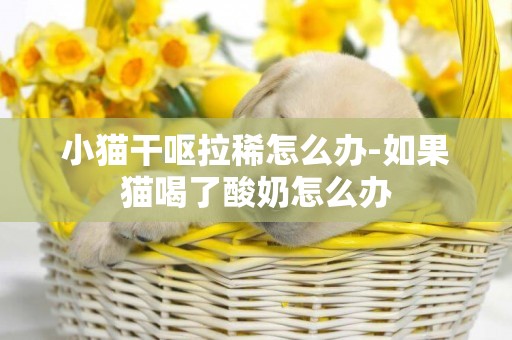 小貓干嘔拉稀怎么辦-如果貓喝了酸奶怎么辦