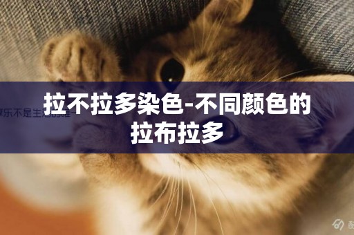 拉不拉多染色-不同顏色的拉布拉多
