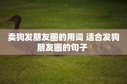 賣狗發朋友圈的用詞 適合發狗朋友圈的句子 
