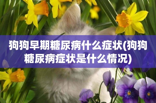 狗狗早期糖尿病什么癥狀(狗狗糖尿病癥狀是什么情況)