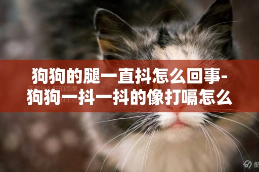 狗狗的腿一直抖怎么回事-狗狗一抖一抖的像打嗝怎么回事