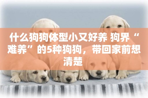 什么狗狗體型小又好養 狗界“難養”的5種狗狗，帶回家前想清楚 