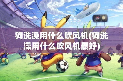 狗洗澡用什么吹風機(狗洗澡用什么吹風機最好)