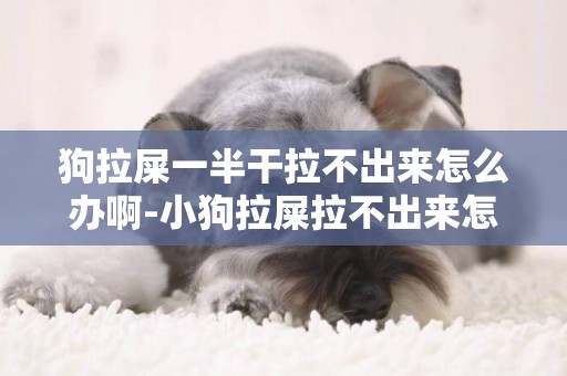 狗拉屎一半干拉不出來怎么辦啊-小狗拉屎拉不出來怎么辦