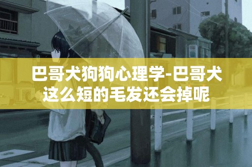 巴哥犬狗狗心理學-巴哥犬這么短的毛發還會掉呢