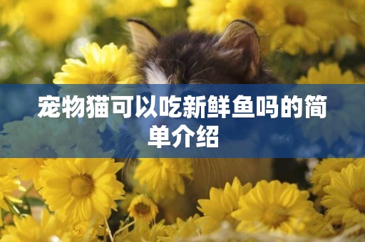 寵物貓可以吃新鮮魚嗎的簡單介紹