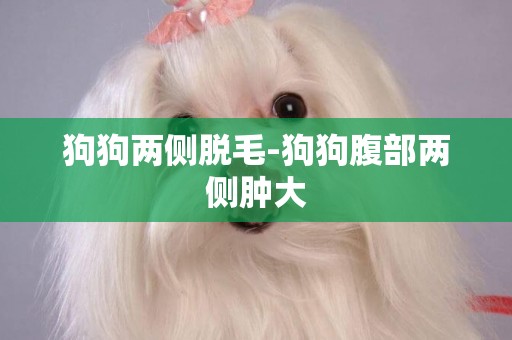 狗狗兩側脫毛-狗狗腹部兩側腫大