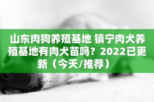 山東肉狗養殖基地 鎮寧肉犬養殖基地有肉犬苗嗎？2022已更新（今天/推薦） 