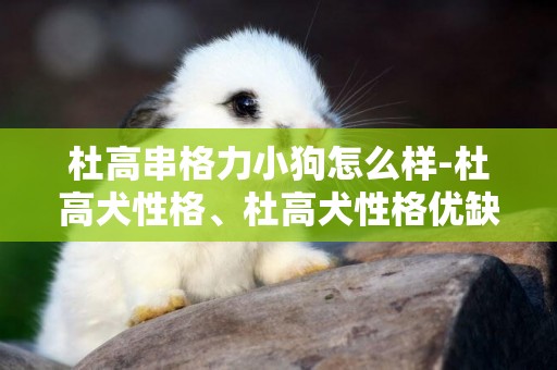 杜高串格力小狗怎么樣-杜高犬性格、杜高犬性格優缺點怎么樣
