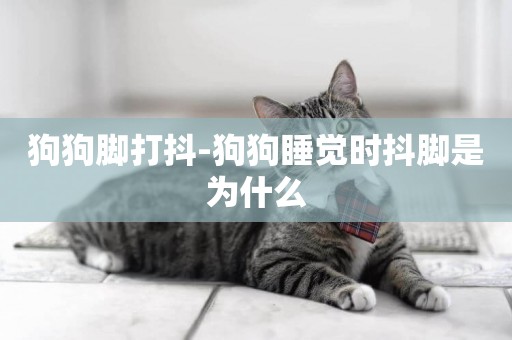 狗狗腳打抖-狗狗睡覺時抖腳是為什么