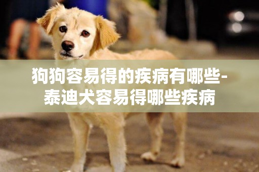 狗狗容易得的疾病有哪些-泰迪犬容易得哪些疾病