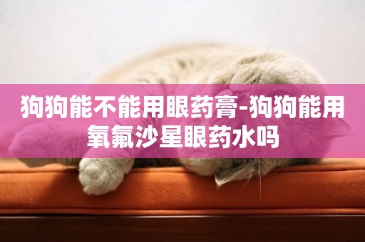 狗狗能不能用眼藥膏-狗狗能用氧氟沙星眼藥水嗎