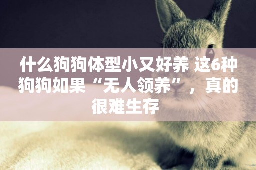什么狗狗體型小又好養 這6種狗狗如果“無人領養”，真的很難生存 