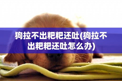 狗拉不出粑粑還吐(狗拉不出粑粑還吐怎么辦)