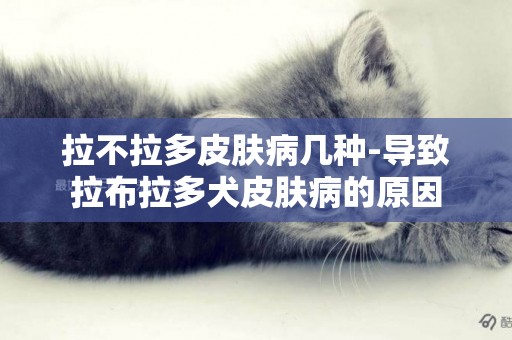 拉不拉多皮膚病幾種-導致拉布拉多犬皮膚病的原因