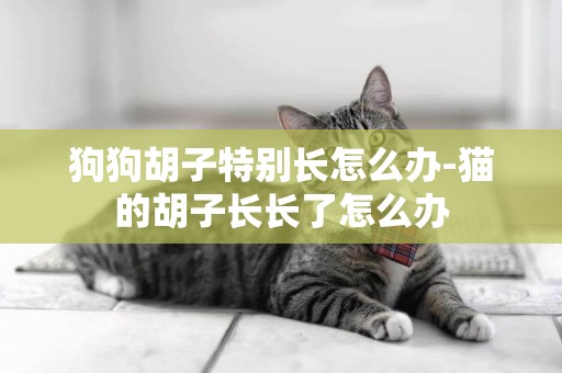 狗狗胡子特別長怎么辦-貓的胡子長長了怎么辦
