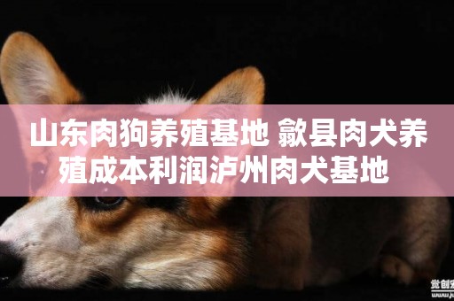 山東肉狗養殖基地 歙縣肉犬養殖成本利潤瀘州肉犬基地 