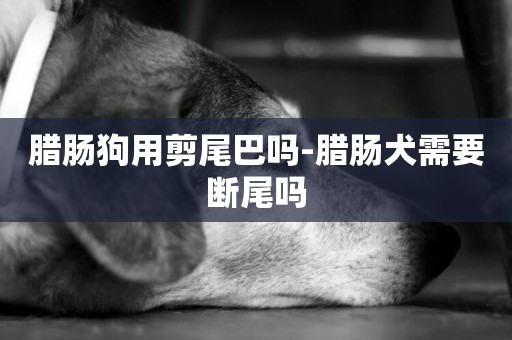 臘腸狗用剪尾巴嗎-臘腸犬需要斷尾嗎