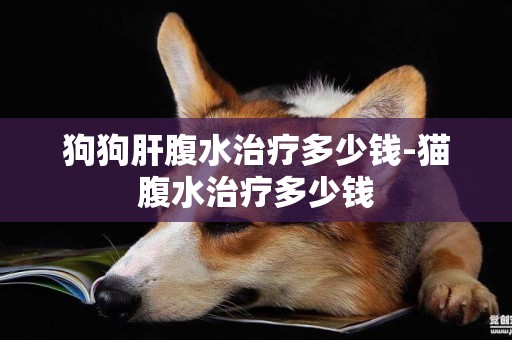 狗狗肝腹水治療多少錢-貓腹水治療多少錢