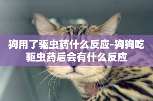 狗用了驅蟲藥什么反應-狗狗吃驅蟲藥后會有什么反應