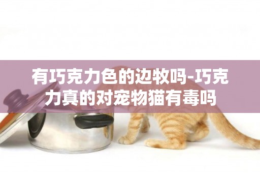有巧克力色的邊牧嗎-巧克力真的對寵物貓有毒嗎