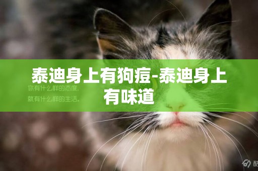 泰迪身上有狗痘-泰迪身上有味道