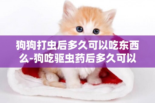 狗狗打蟲后多久可以吃東西么-狗吃驅蟲藥后多久可以吃東西