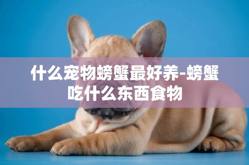 什么寵物螃蟹最好養-螃蟹吃什么東西食物