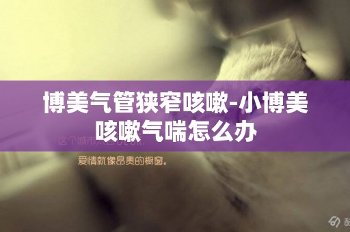 博美氣管狹窄咳嗽-小博美咳嗽氣喘怎么辦