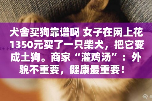 犬舍買狗靠譜嗎 女子在網上花1350元買了一只柴犬，把它變成土狗。商家“灌雞湯”：外貌不重要，健康最重要！ 