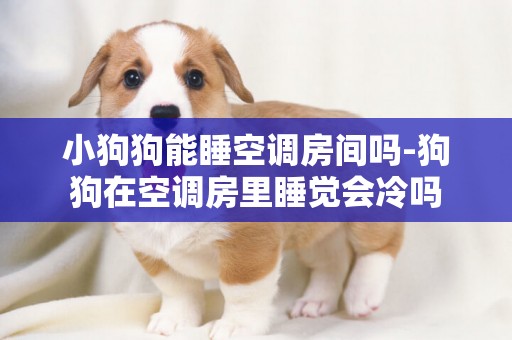小狗狗能睡空調房間嗎-狗狗在空調房里睡覺會冷嗎