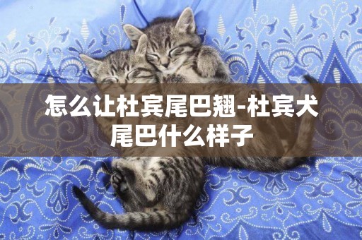 怎么讓杜賓尾巴翹-杜賓犬尾巴什么樣子