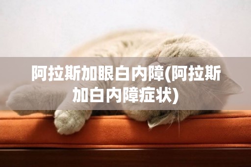 阿拉斯加眼白內障(阿拉斯加白內障癥狀)