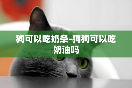 狗可以吃奶條-狗狗可以吃奶油嗎