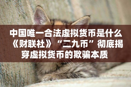 中國唯一合法虛擬貨幣是什么 《財聯社》“二九幣”徹底揭穿虛擬貨幣的欺騙本質 