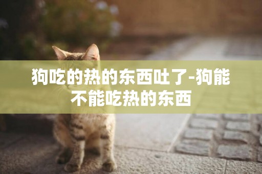 狗吃的熱的東西吐了-狗能不能吃熱的東西